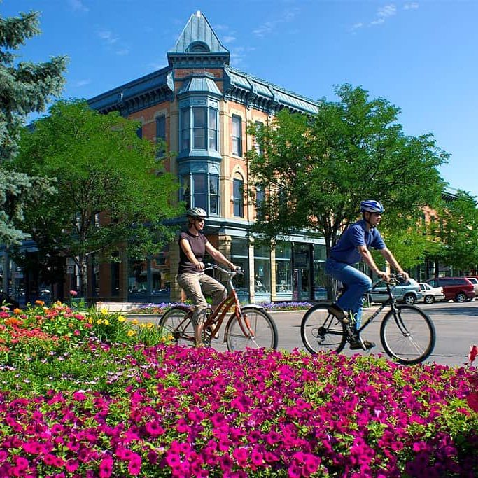 fort collins local moving colorado